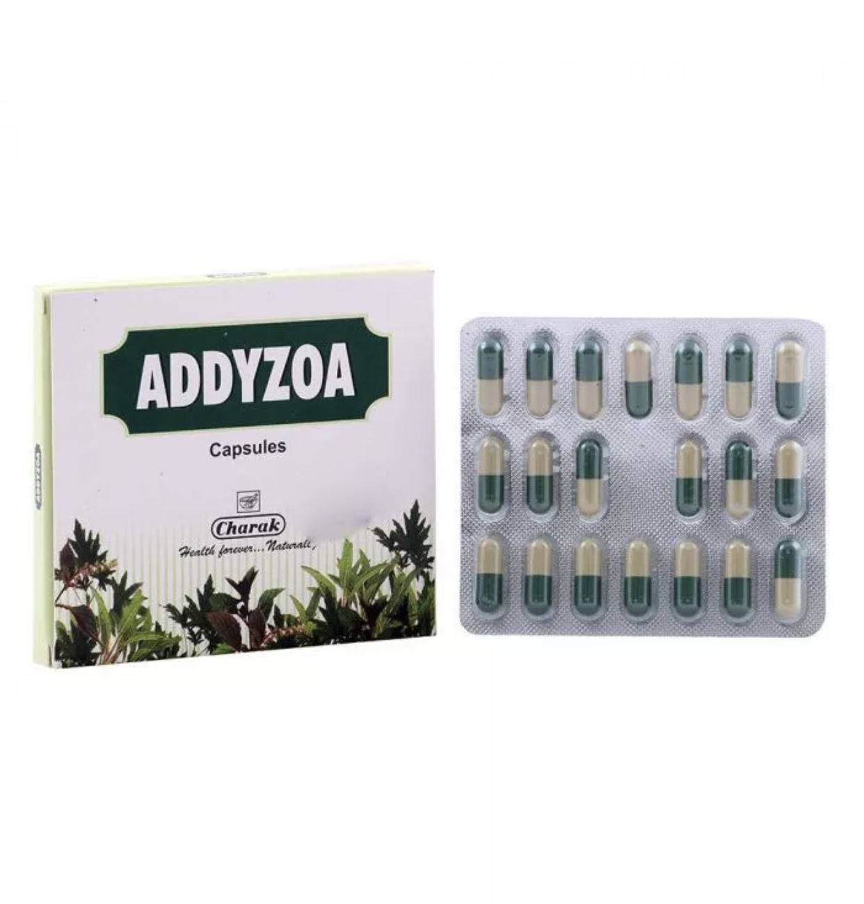 1681913540_addyzoa20capsules20-20Google20Search.png